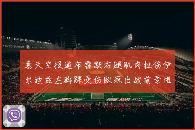 意天空报道布雷默右腿肌肉拉伤伊尔迪兹左脚踝受伤欧冠出战前景堪忧